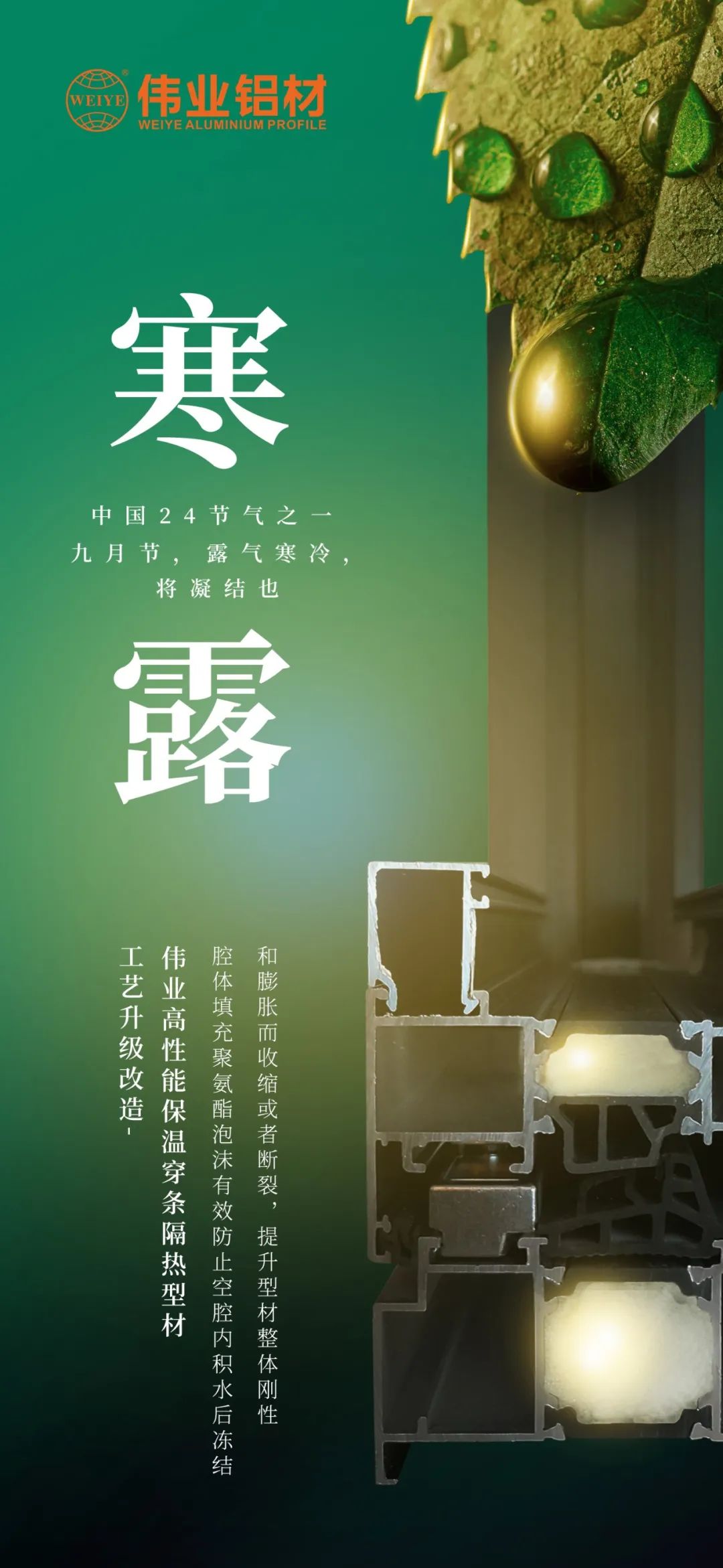 #寒露 九月节，，，露气严寒，，，将凝聚也 时光入深秋，，，岁月便深情